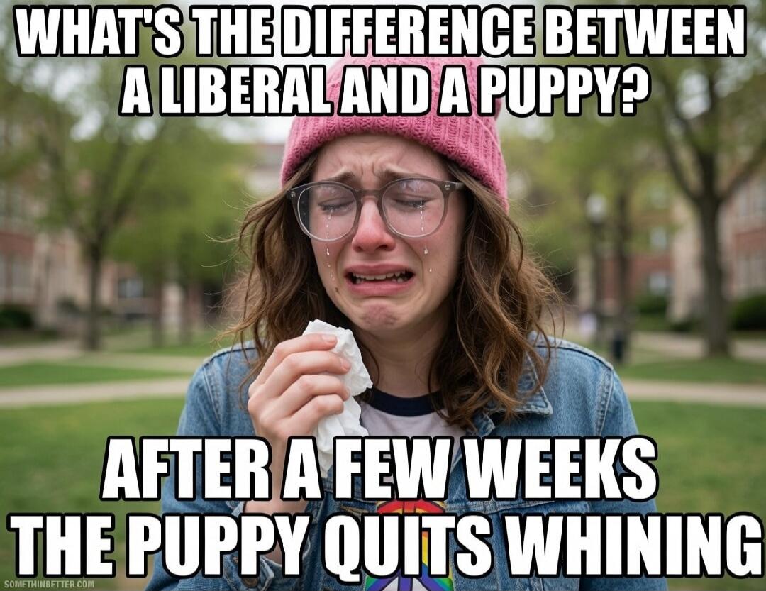 WHAT'S THE DIFFERENCE BETWEEN A LIBERAL AND A PUPPY? AFTER A FEW WEEKS THE PUPPY QUITS WHINING