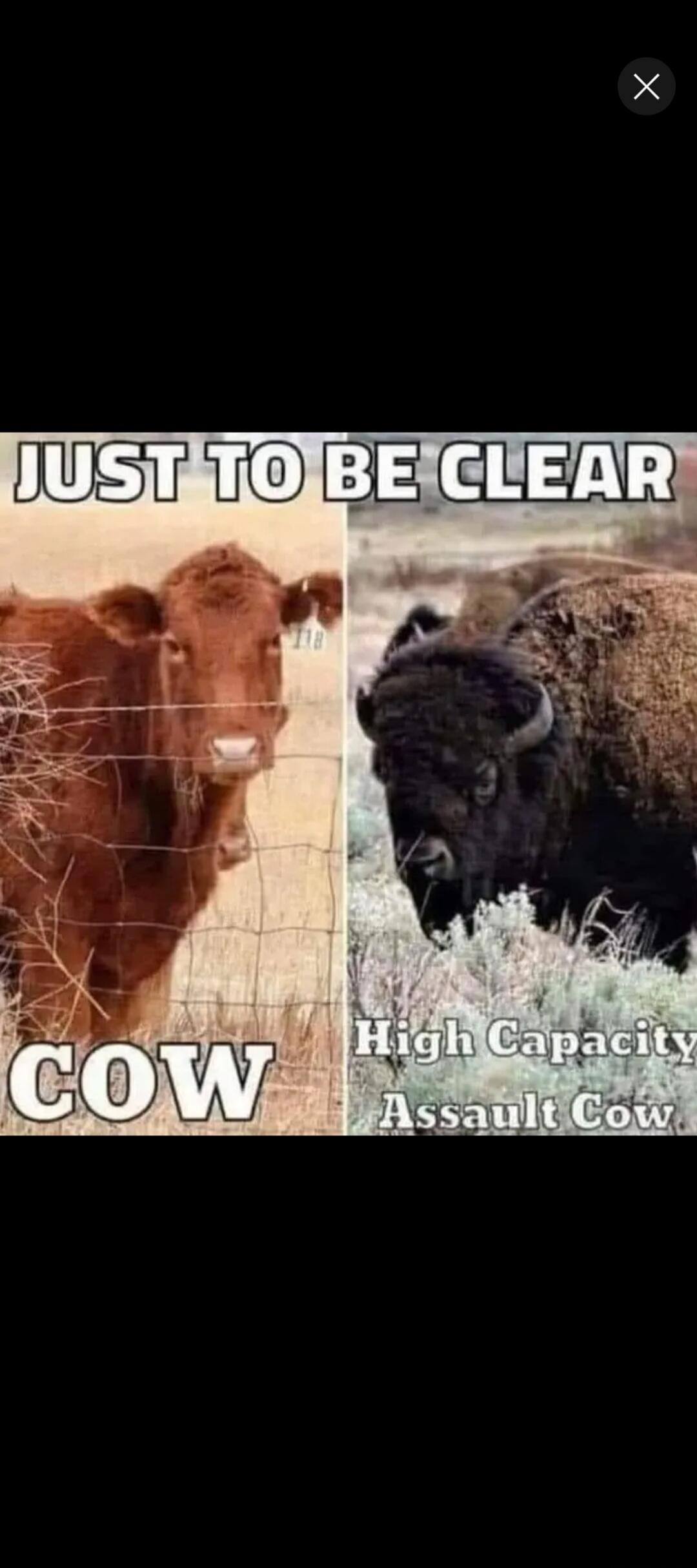 JUST TO BE CLEAR
COW
High Capacity Assault Cow