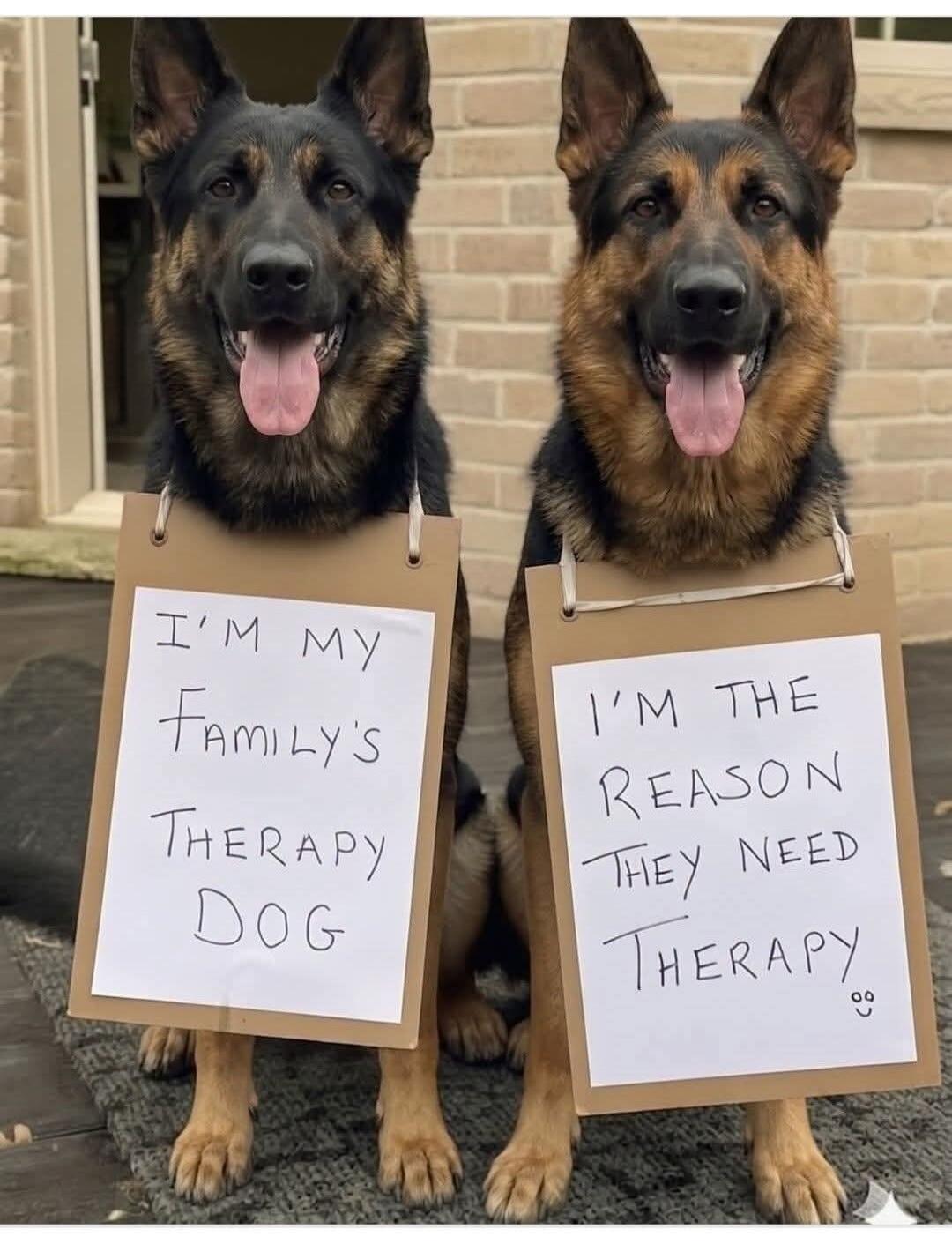 I'm my family's therapy dog. I'm the reason they need therapy.