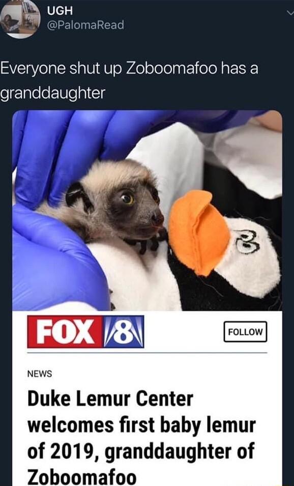 o L Everyone shut up Zoboomafoo has a granddaughter NEWS Duke Lemur Center welcomes first baby lemur of 2019 granddaughter of Zoboomafoo
