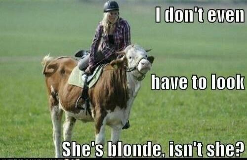 I don't even have to look She's blonde, isn't she?