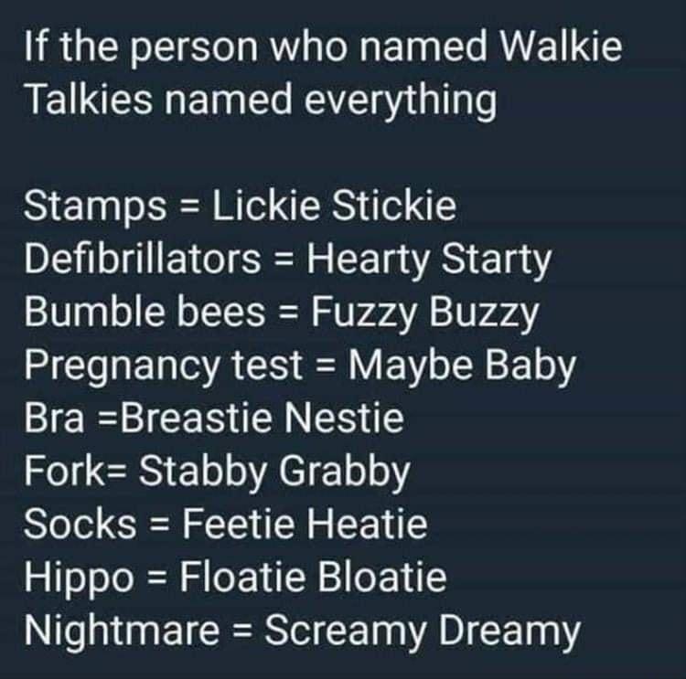 If the person who named Walkie Talkies named everything Stamps Lickie Stickie Defibrillators Hearty Starty Bumble bees Fuzzy Buzzy HEHERGAC NV EN kY Bl CERERNE Fork Stabby Grabby Socks Feetie Heatie Hippo Floatie Bloatie Nightmare Screamy Dreamy