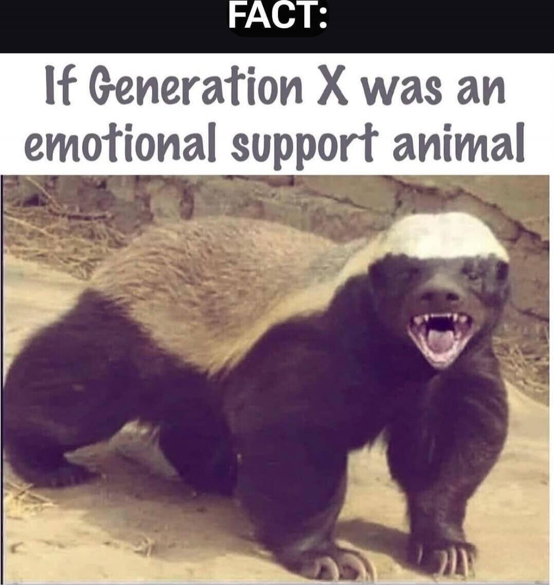 FACT: If Generation X was an emotional support animal
