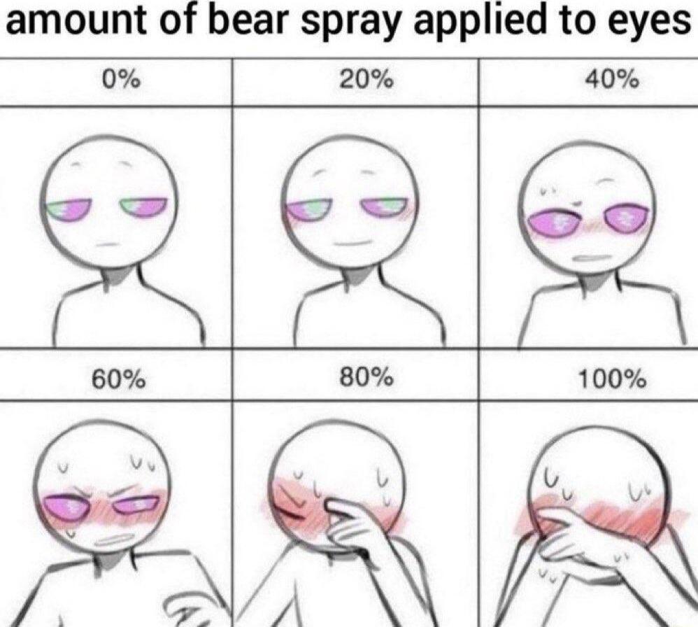 amount of bear spray applied to eyes 0 20 40