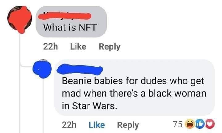 elomess i What is NFT 22h Like Reply Q e Beanie babies for dudes who get mad when theres a black woman in Star Wars 22h Like Reply 7500