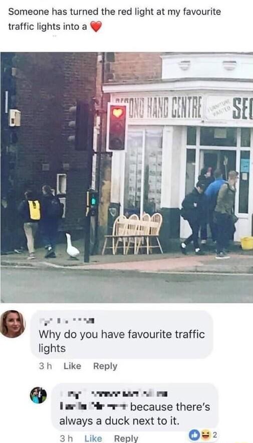 Someone has turned the red light at my favourite traffic lights into a e WH1 Al bl N ALY g Why do you have favourite traffic lights 3h Like Reply 0 Ry TR LAY G rE larln r v because theres always a duck next to it 3h Like Reply