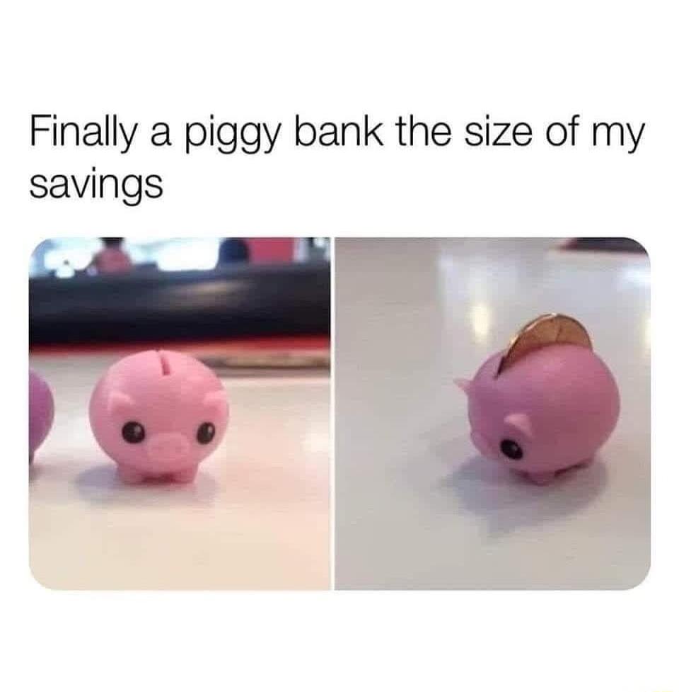 Finally a piggy bank the size of my savings ol