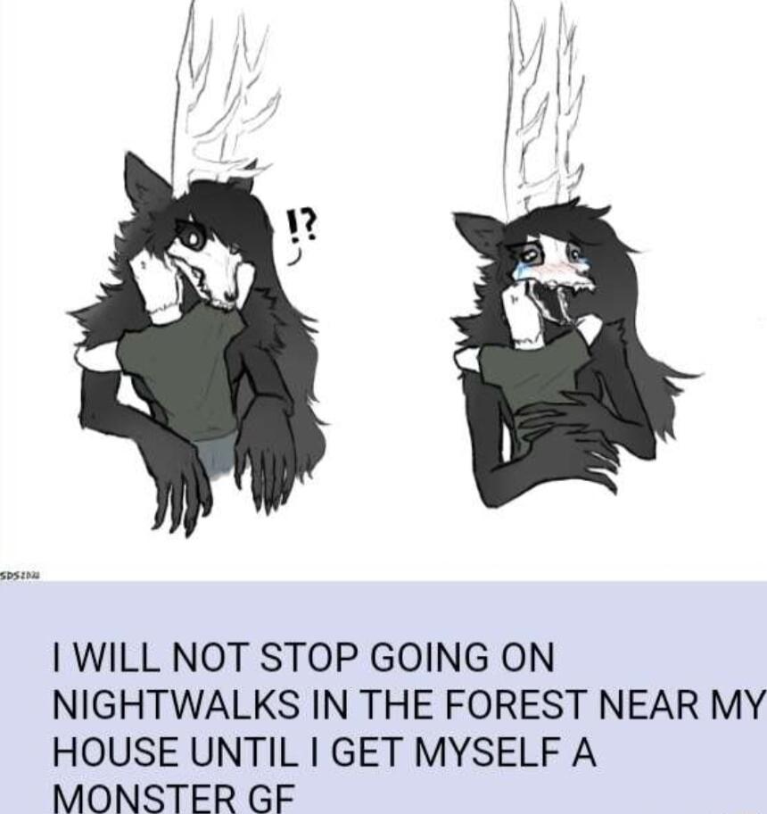 WILL NOT STOP GOING ON NIGHTWALKS IN THE FOREST NEAR MY HOUSE UNTIL GET MYSELF A MONSTER GF