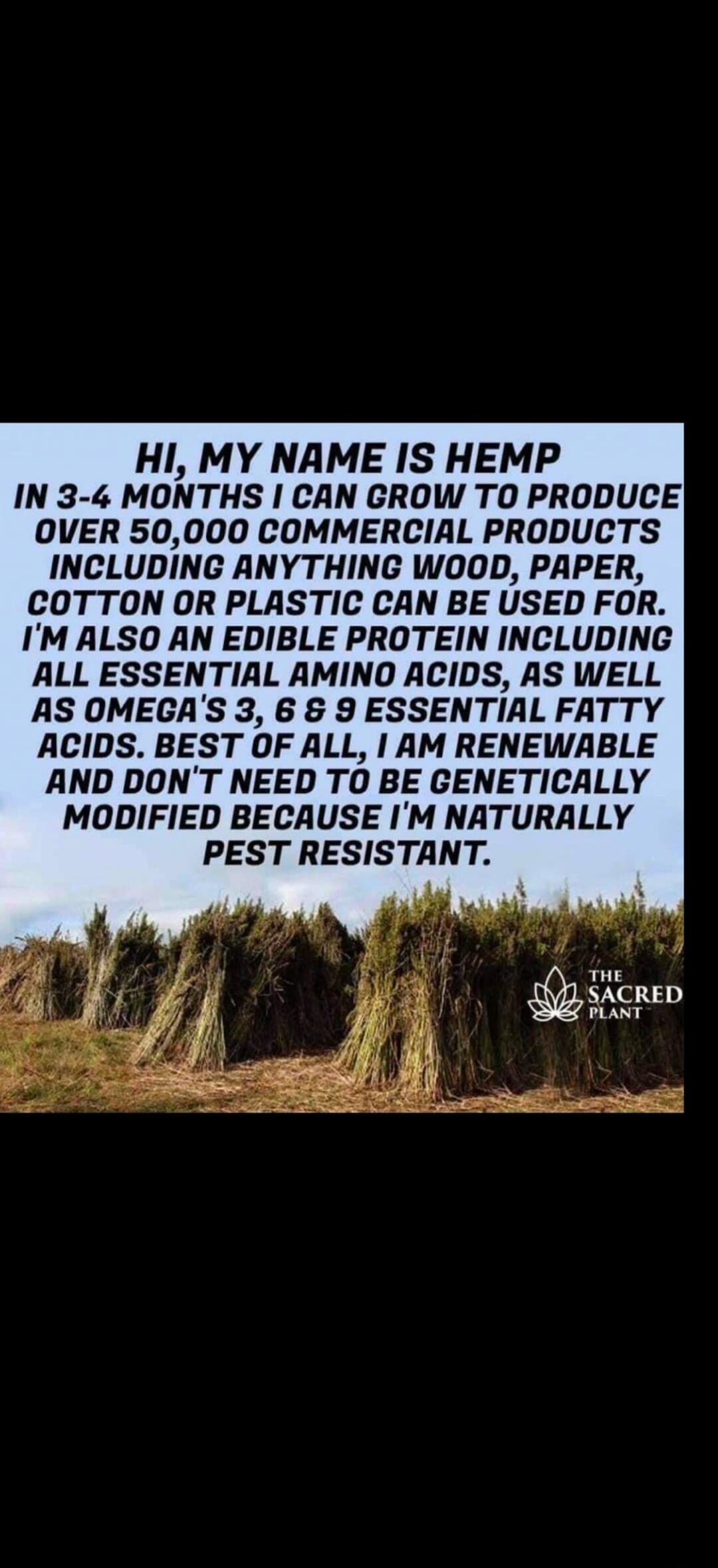 HI, MY NAME IS HEMP IN 3-4 MONTHS I CAN GROW TO PRODUCE OVER 50,000 COMMERCIAL PRODUCTS INCLUDING ANYTHING WOOD, PAPER, COTTON OR PLASTIC CAN BE USED FOR. I'M ALSO AN EDIBLE PROTEIN INCLUDING ALL ESSENTIAL AMINO ACIDS, AS WELL AS OMEGA'S 3, 6 & 9 ESSENTIAL FATTY ACIDS. BEST OF ALL, I AM RENEWABLE AND DON'T NEED TO BE GENETICALLY MODIFIED BECAUSE I'