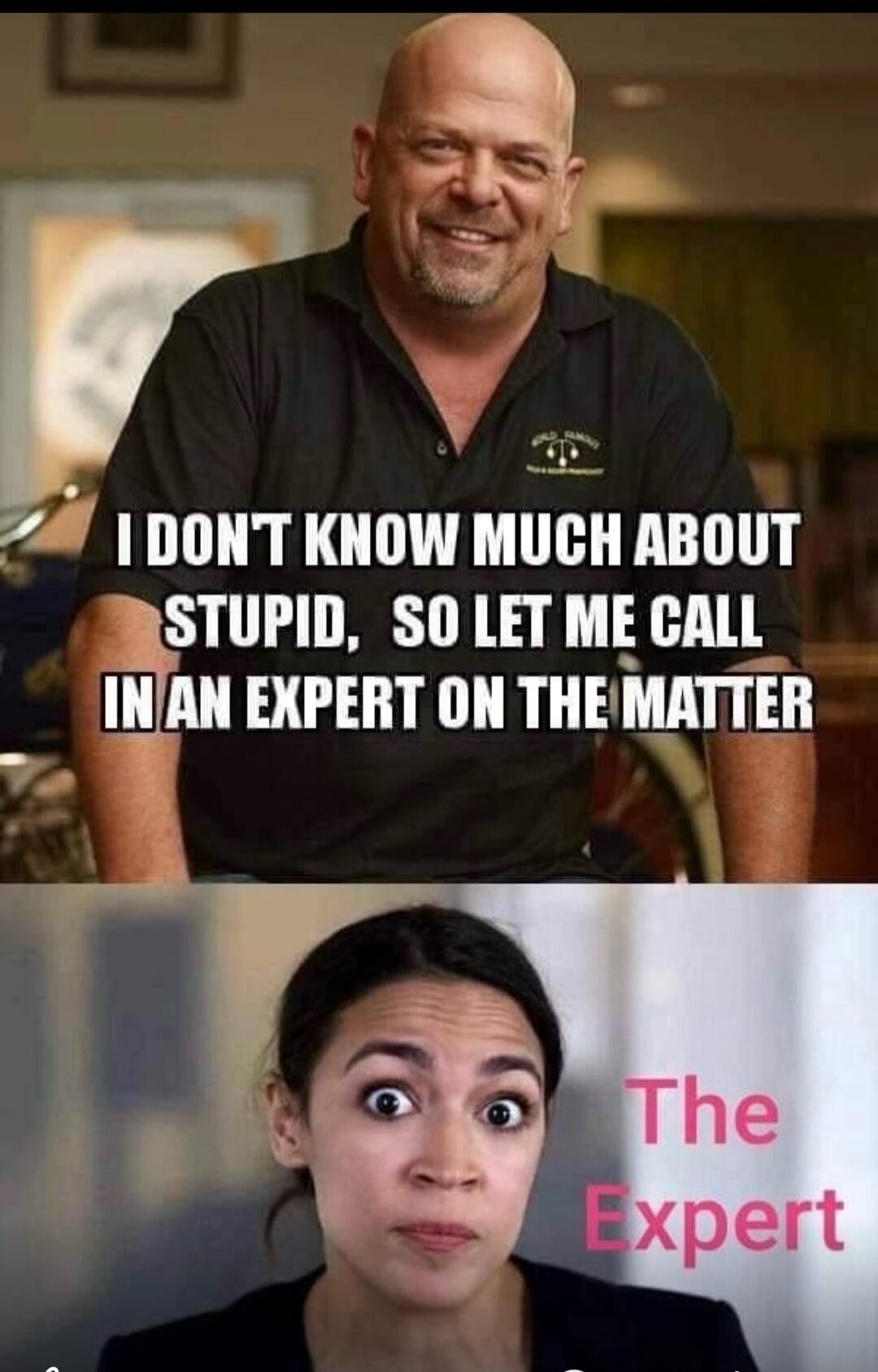 I DON'T KNOW MUCH ABOUT STUPID, SO LET ME CALL IN AN EXPERT ON THE MATTER