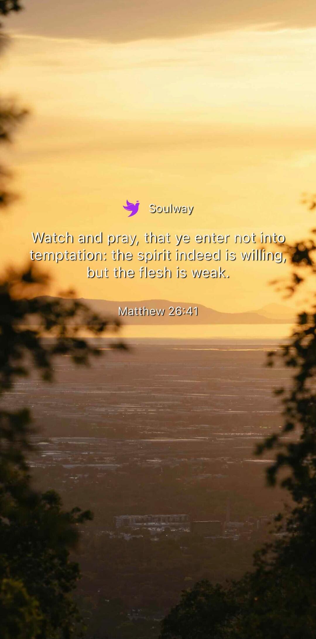 Soulway Watch and pray, that ye enter not into temptation: the spirit indeed is willing, but the flesh is weak. Matthew 26:41