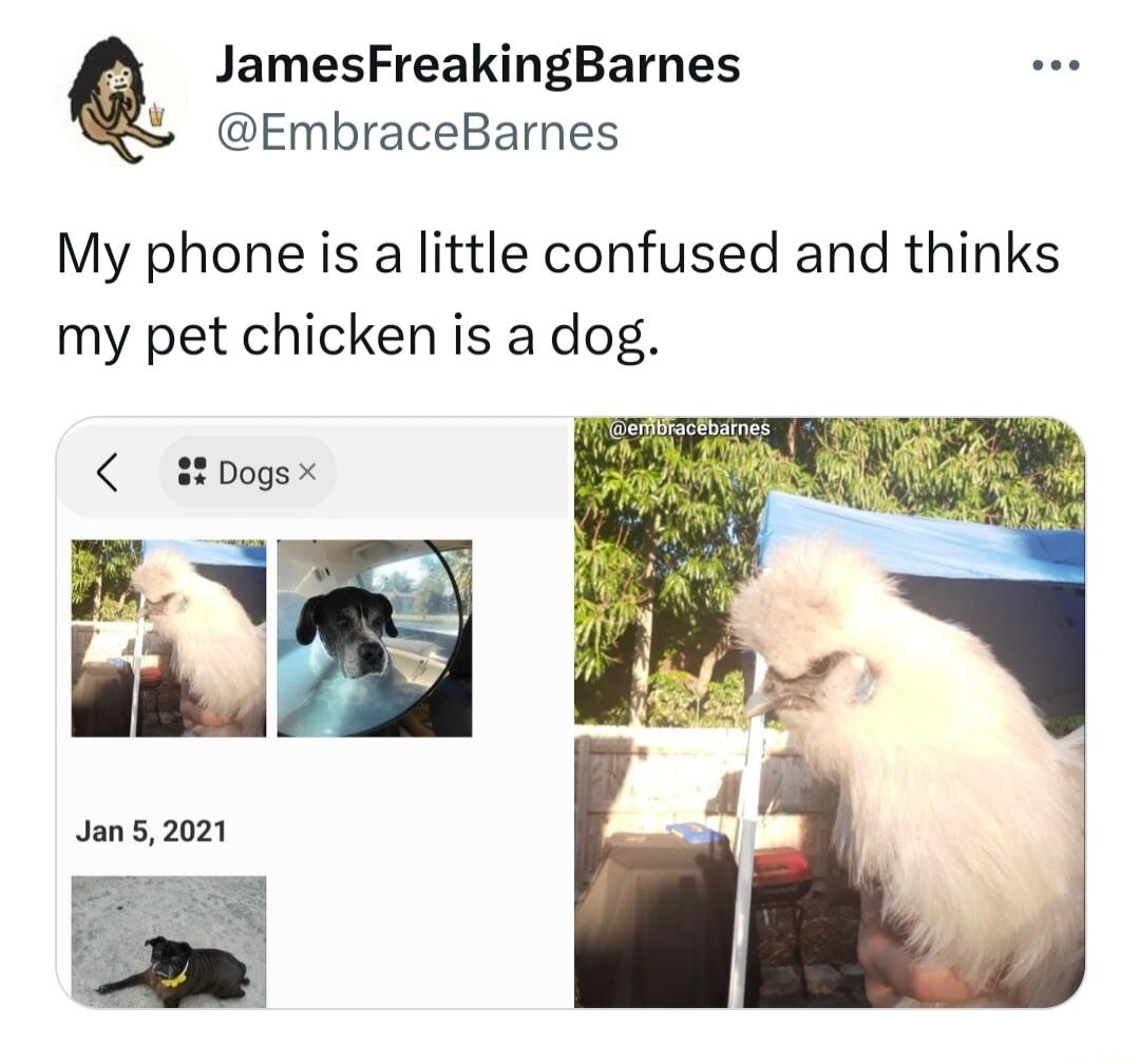 JamesFreakingBarnes EmbraceBarnes My phone is a little confused and thinks my pet chicken is a dog 22 Dogs li Jan 2021