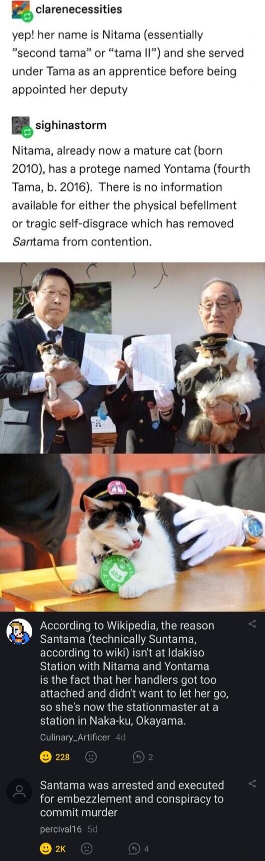 clarenecessities yep her name is Nitama essentially second tama or tama I1 and she served under Tama as an apprentice before being appointed her deputy B sighinastorm Nitama already now a mature cat born 2010 has a protege named Yontama fourth Tama b 2016 There is no information available for either the physical befellment or tragic self disgrace which has removed Santama from contention According