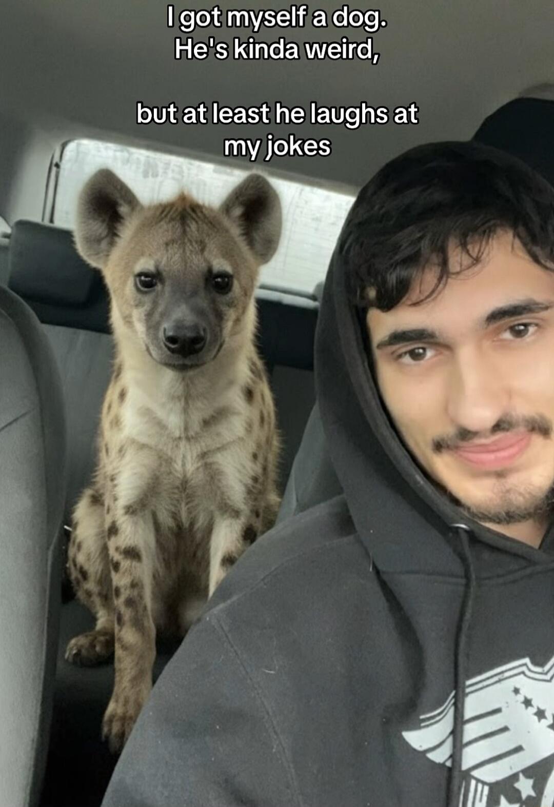 I got myself a dog. He's kinda weird, but at least he laughs at my jokes