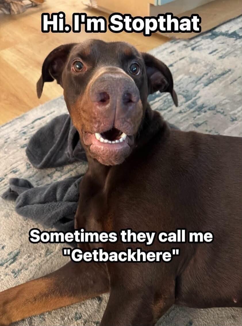Hi. I'm Stopthat. Sometimes they call me 