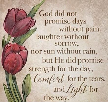 God did not promise days without pain, laughter without sorrow, nor sun without rain, but He did promise strength for the day, Comfort for the tears, and Light for the way.