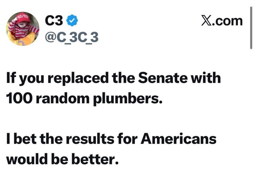 If you replaced the Senate with 100 random plumbers. I bet the results for Americans would be better.