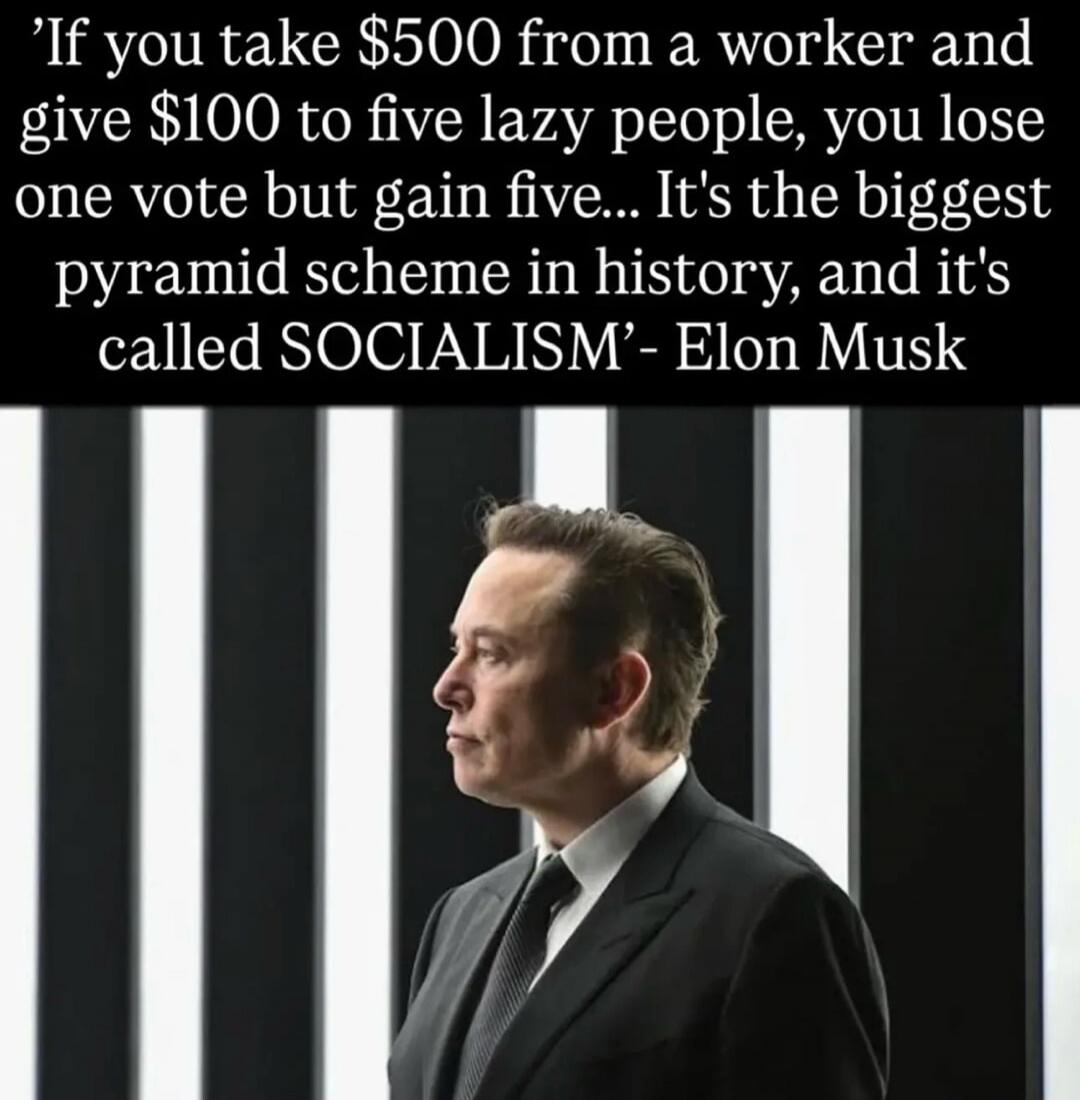 'If you take $500 from a worker and give $100 to five lazy people, you lose one vote but gain five... It's the biggest pyramid scheme in history, and it's called SOCIALISM'- Elon Musk