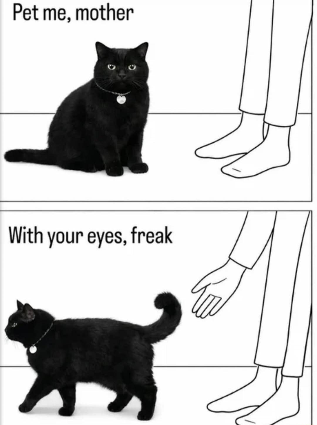 Pet me, mother With your eyes, freak