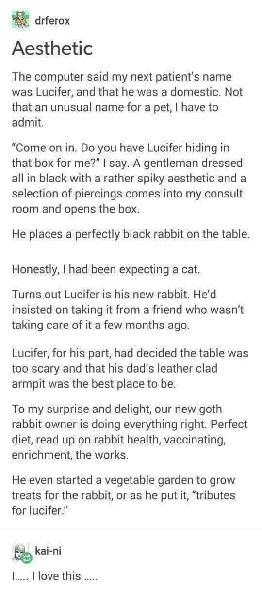 a drferox Aesthetic The computer said my next patients name was Lucifer and that he was a domestic Not that an unusual name for a pet have to admit Come on in Do you have Lucifer hiding in that box for me say A gentleman dressed all in black with a rather spiky aesthetic and a selection of piercings comes into my consult room and opens the box He places a perfectly black rabbit on the table Honest