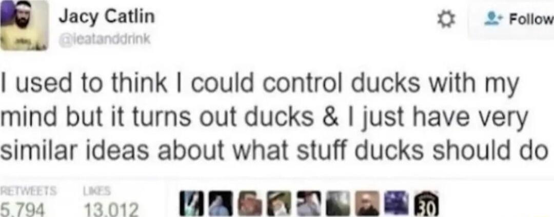 l Jacy Catlin 2 Foliow used to think could control ducks with my mind but it turns out ducks just have very similar ideas about what stuff ducks should do vt 100 AGBAREEEM