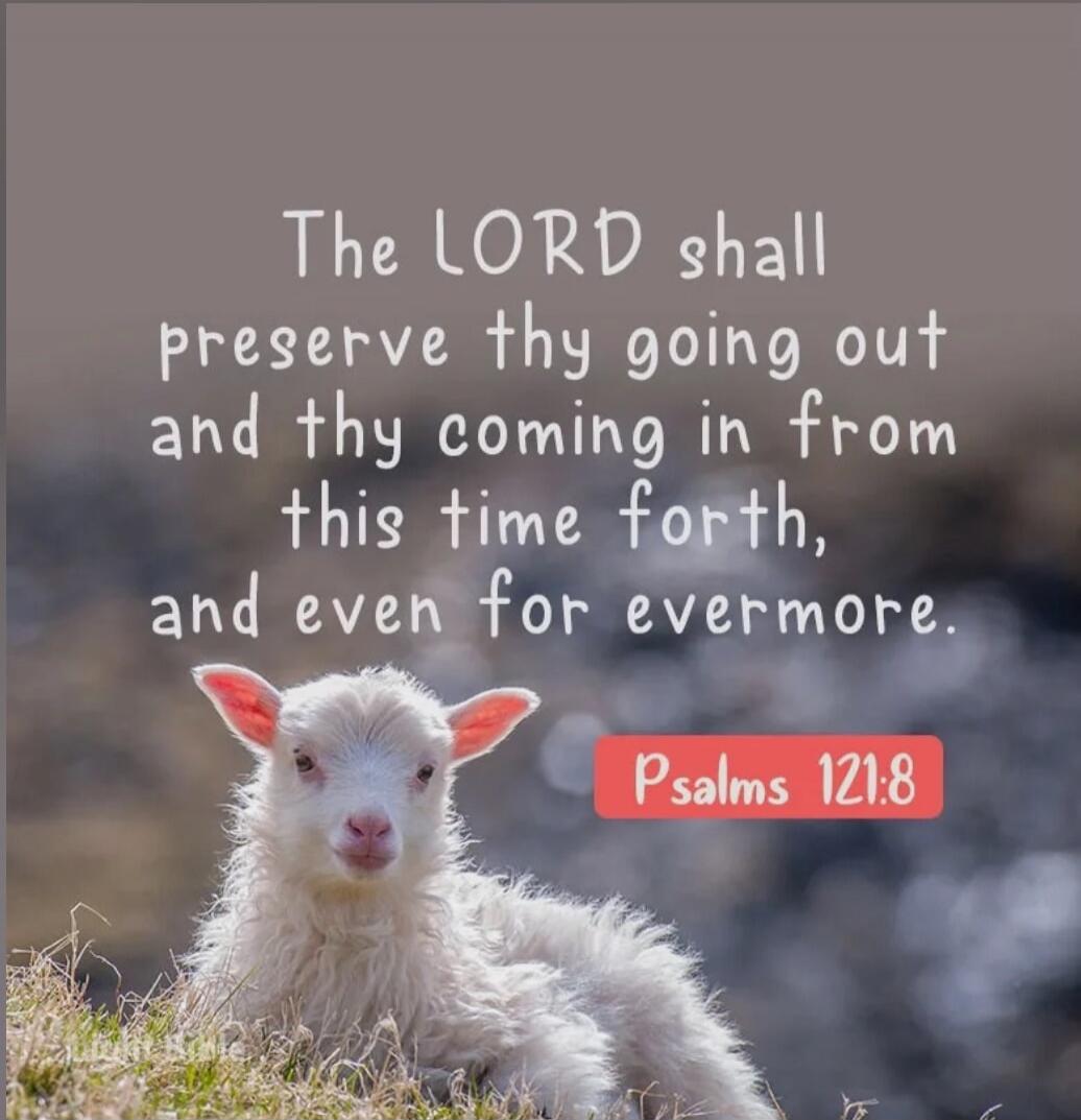 The LORD shall preserve thy going out and thy coming in from this time forth, and even for evermore. Psalms 121:8