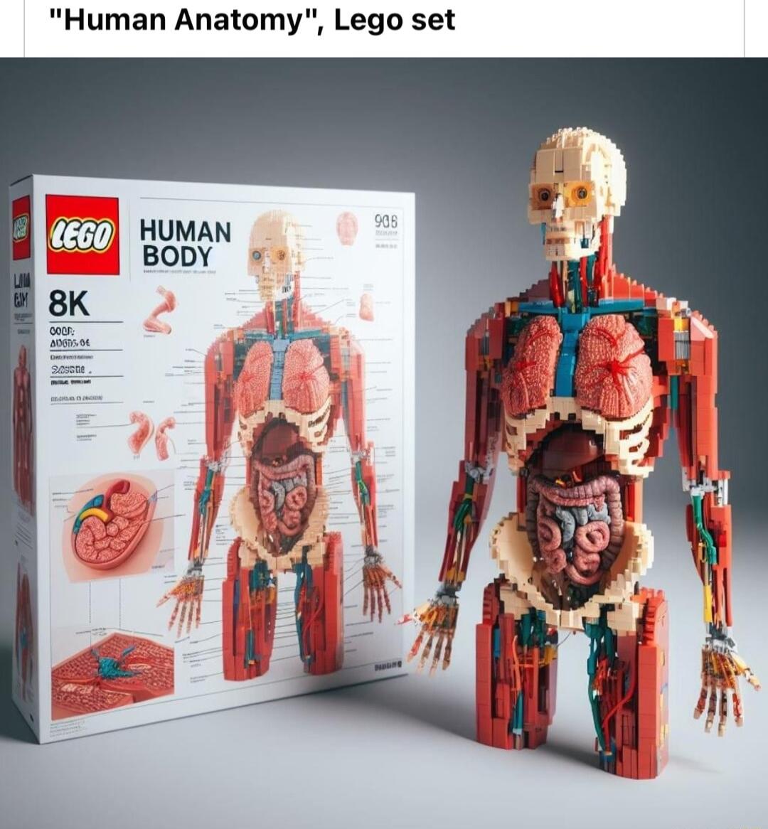Human Anatomy Lego set HUMAN 00 BoDY