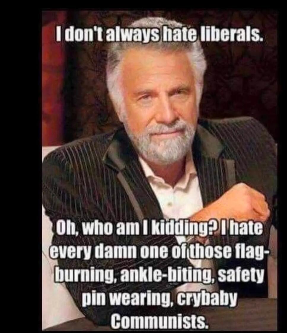 I don't always hate liberals. Oh, who am I kidding? I hate every damn one of those flag-burning, ankle-biting, safety pin wearing, crybaby Communists.