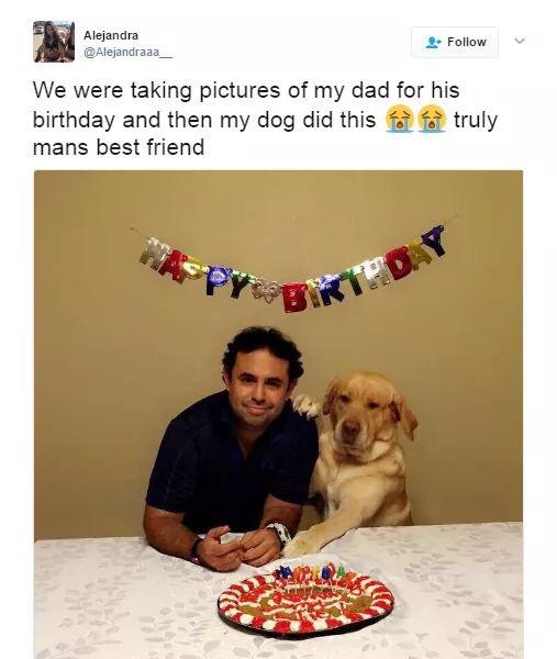 We were taking pictures of my dad for his birthday and then my dog did this truly mans best friend