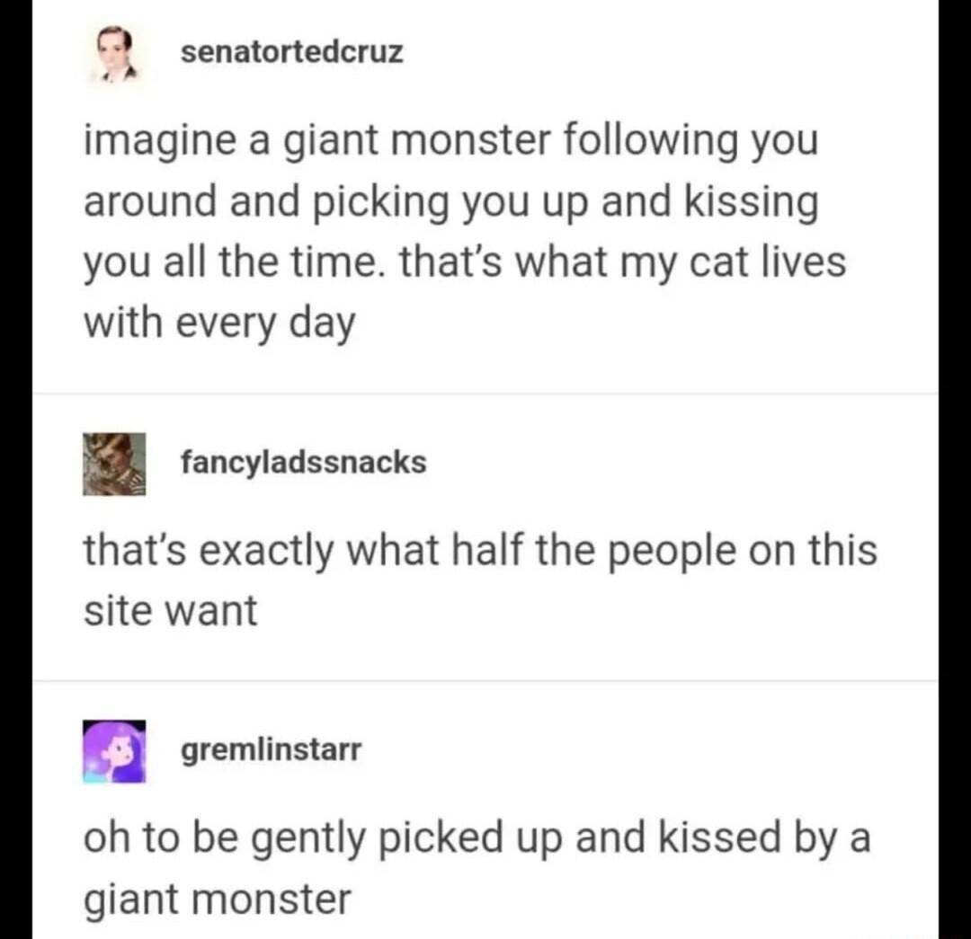 senatortedcruz imagine a giant monster following you around and picking you up and kissing you all the time thats what my cat lives with every day fancyladssnacks thats exactly what half the people on this site want J gremlinstarr oh to be gently picked up and kissed by a giant monster