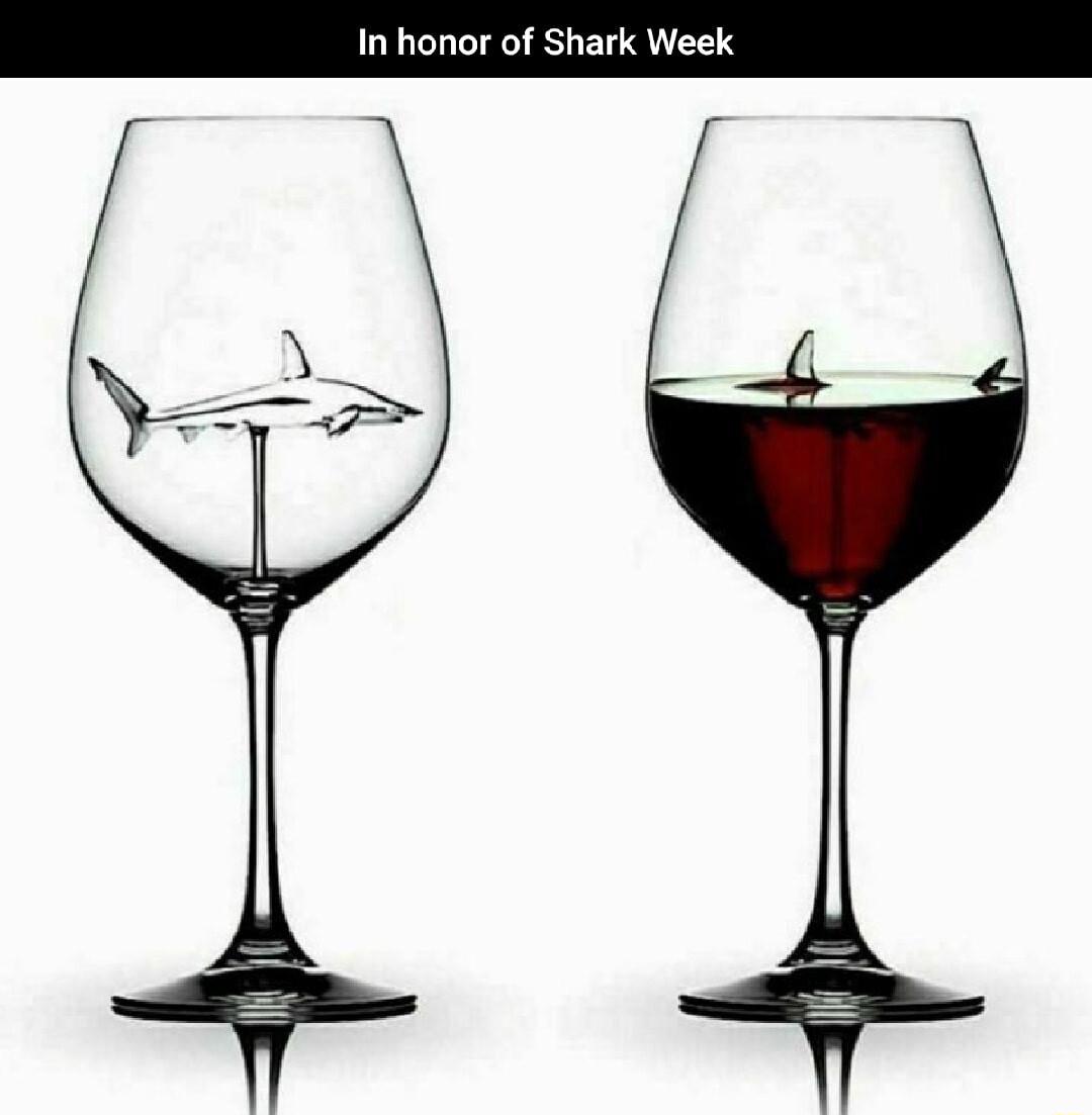 In honor of Shark Week