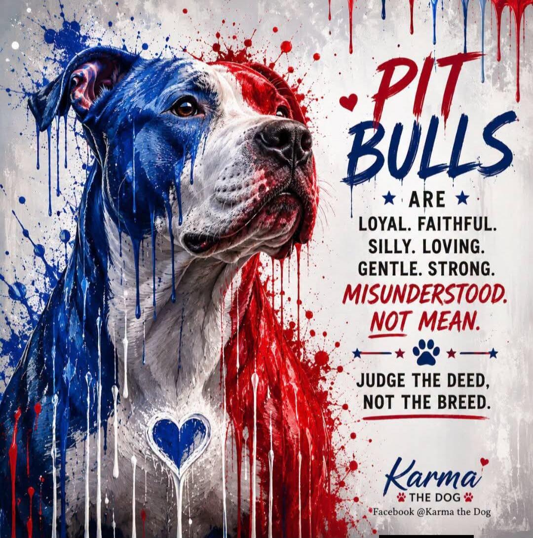 PIT BULLS ARE LOYAL. FAITHFUL. SILLY. LOVING. GENTLE. STRONG. MISUNDERSTOOD. NOT MEAN. JUDGE THE DEED, NOT THE BREED. Karma THE DOG Facebook @Karma the Dog