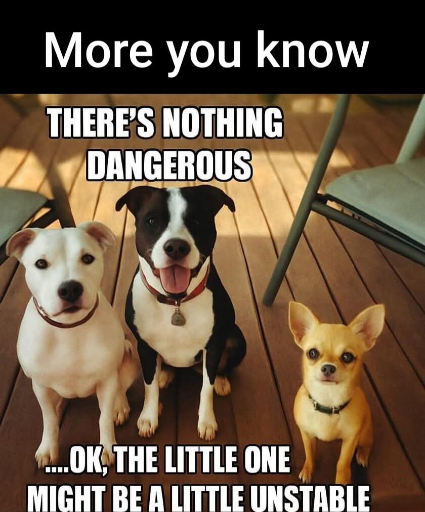 More you know\nTHERE'S NOTHING DANGEROUS\n...OK, THE LITTLE ONE MIGHT BE A LITTLE UNSTABLE