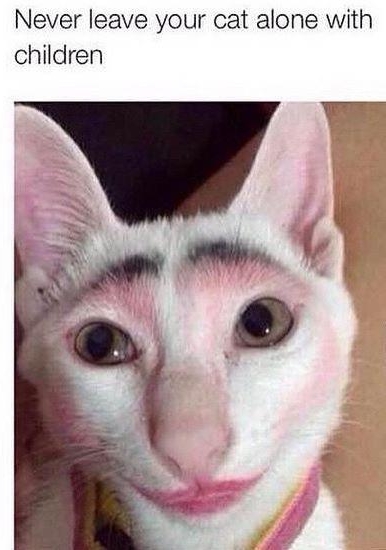 Never leave your cat alone with children W o Y