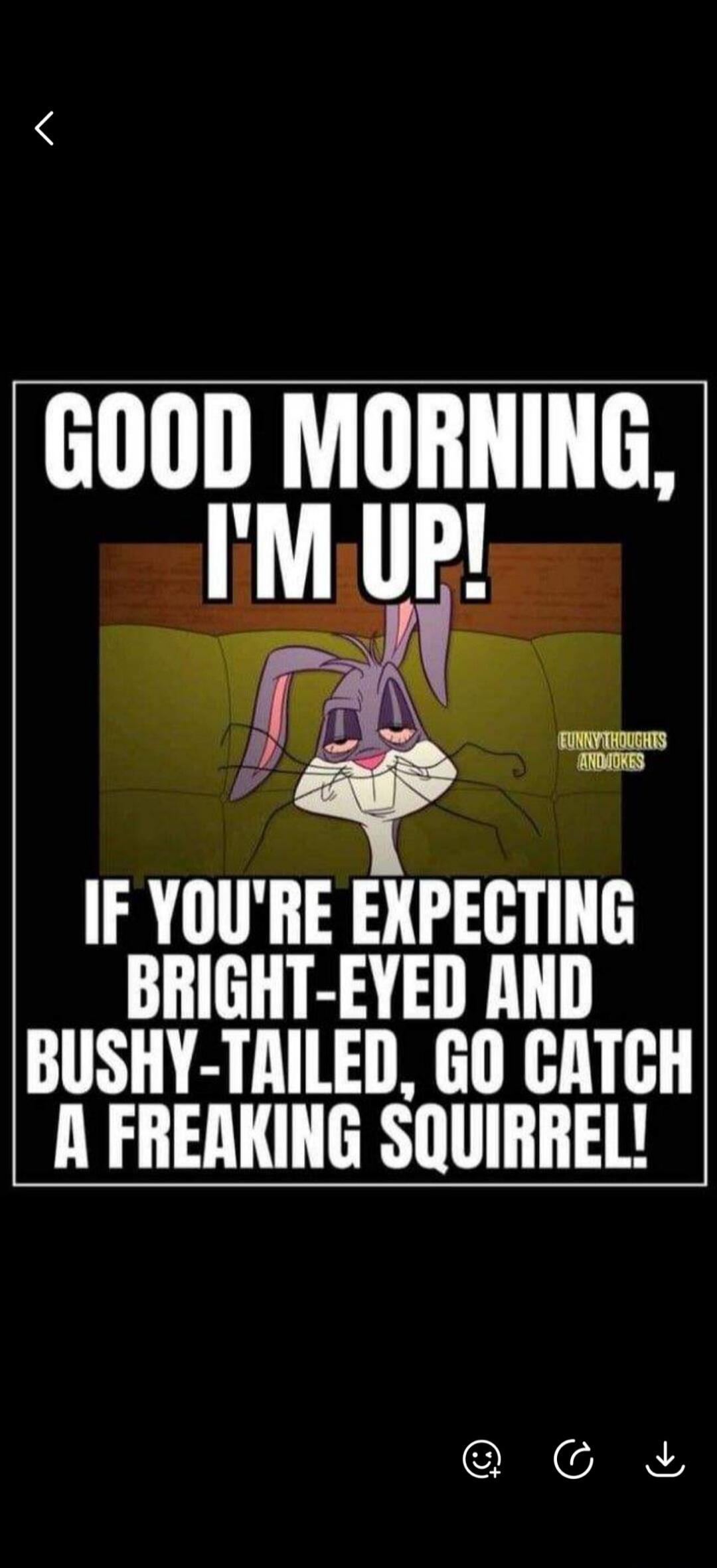 GOOD MORNING, I'M UP! IF YOU'RE EXPECTING BRIGHT-EYED AND BUSHY-TAILED, GO CATCH A FREAKING SQUIRREL! FUNNY THOUGHTS AND JOKES
