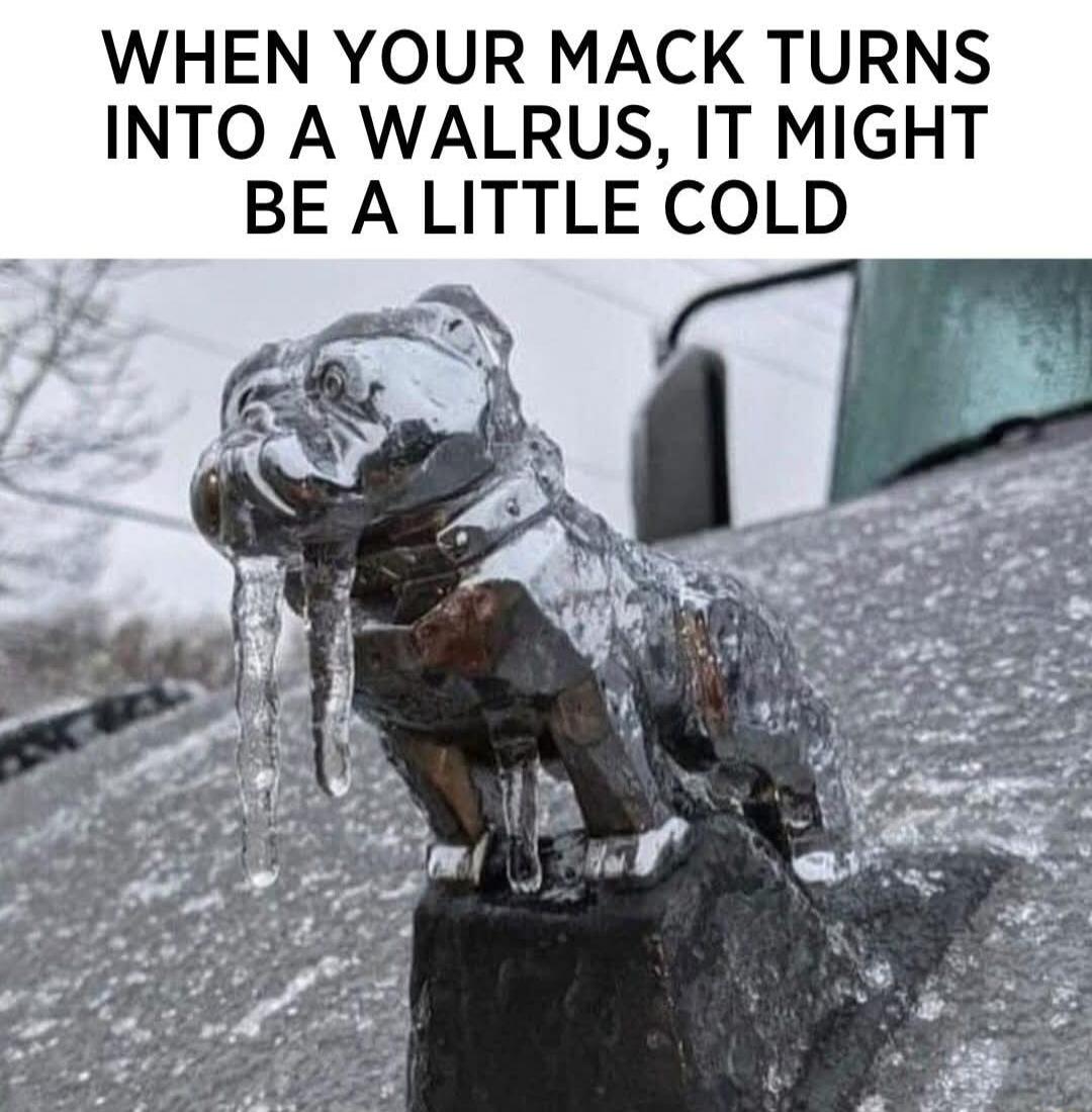 WHEN YOUR MACK TURNS INTO A WALRUS IT MIGHT BE A LITTLE COLD