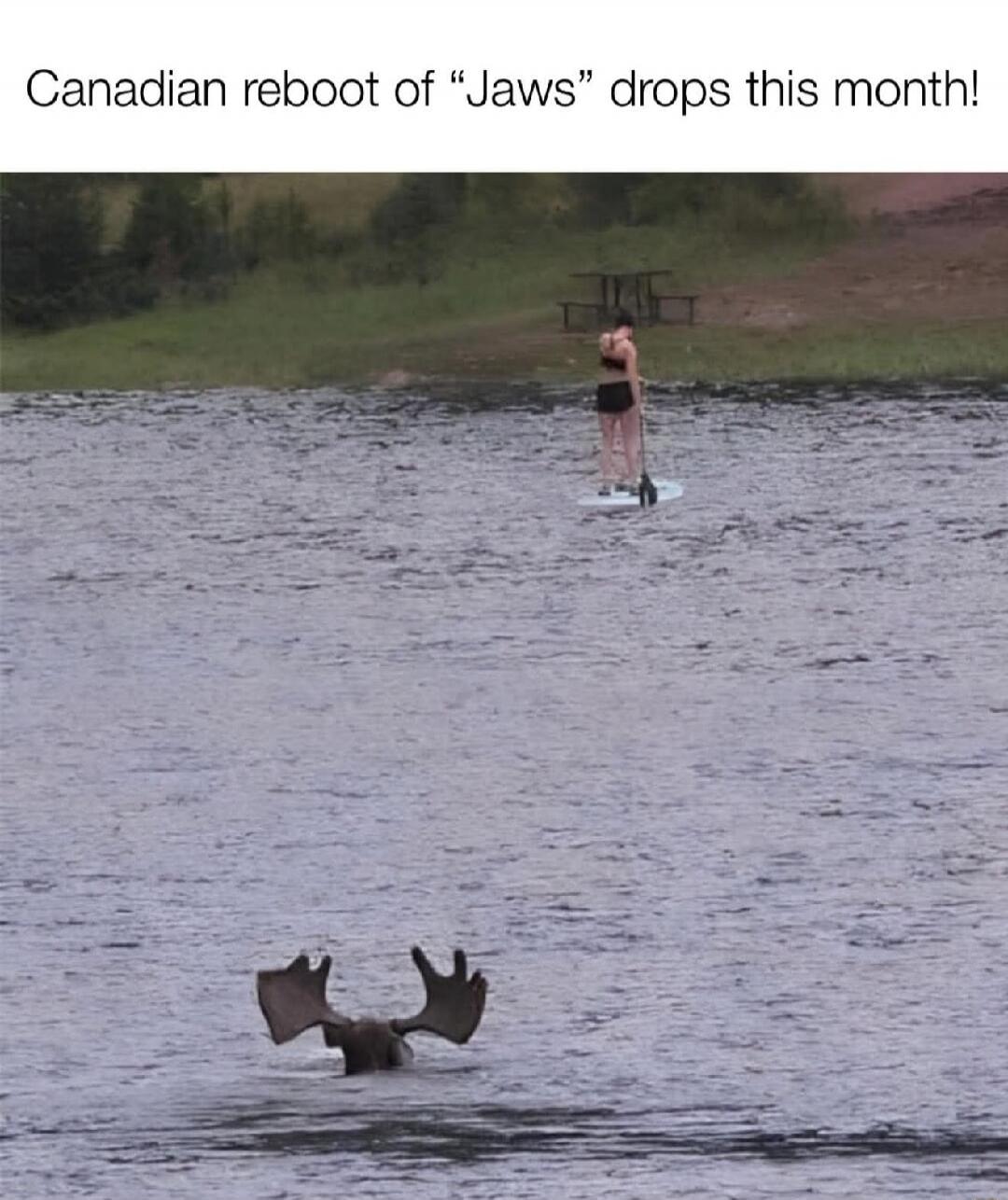 Canadian reboot of 