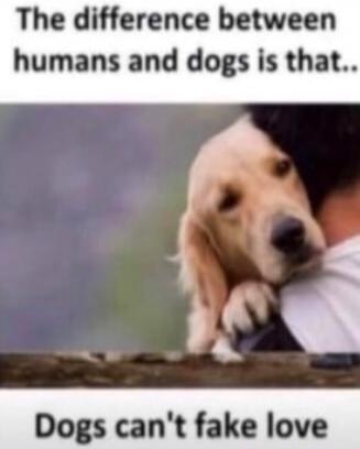 The difference between humans and dogs is that... Dogs can't fake love