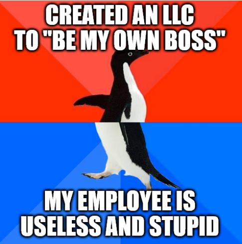 CREATED AN LLC TOBEMY OWN BOSS N MY EMPLOYEE IS USELESS AND STUPID