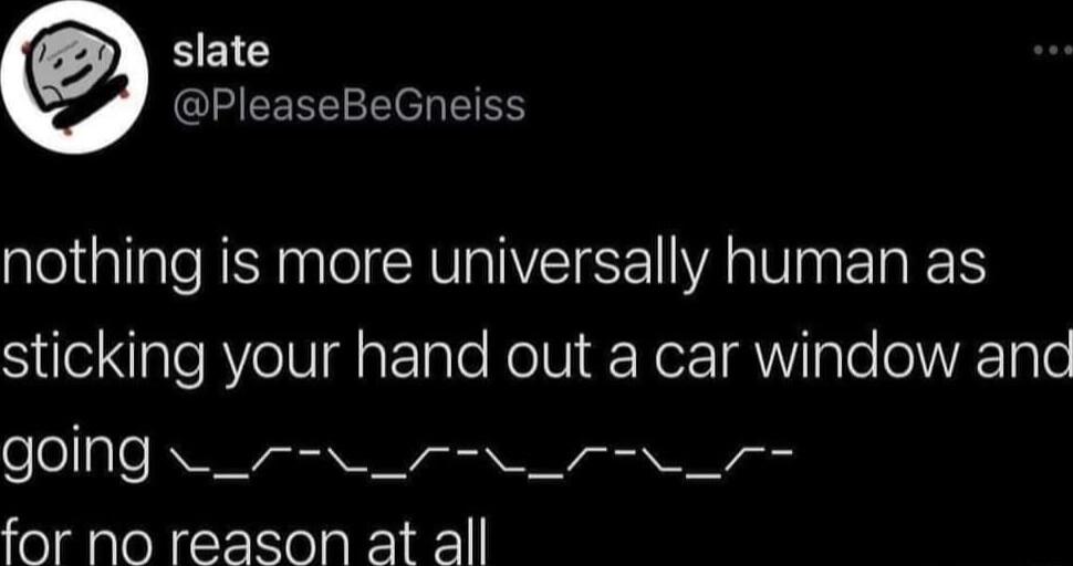 BEG GIAEREE R HE nothing is more universally human as sticking your hand out a car window anc going B e R T for no reason at all