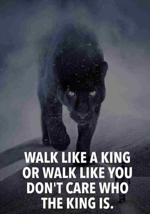 WALK LIKE A KING OR WALK LIKE YOU DON'T CARE WHO THE KING IS.