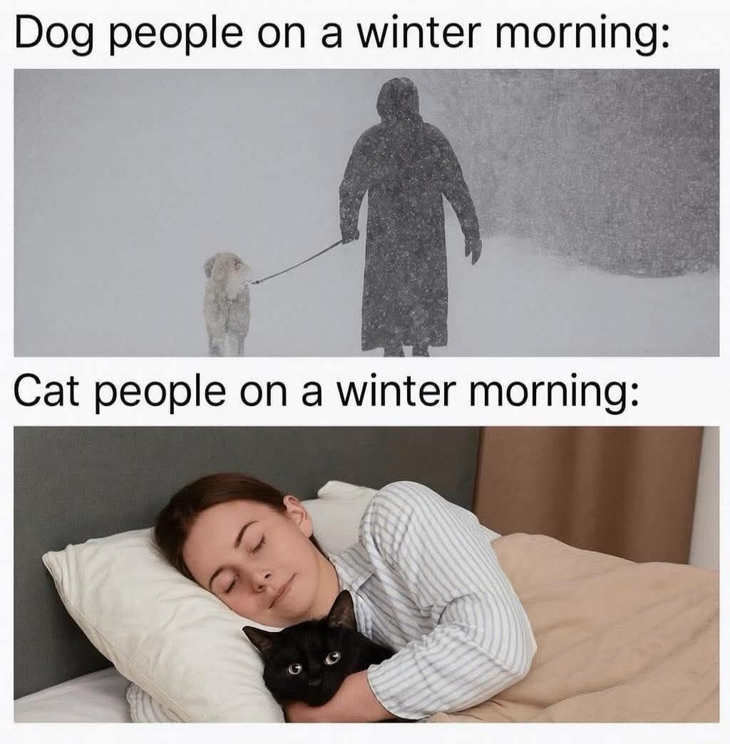 Dog people on a winter morning:

Cat people on a winter morning: