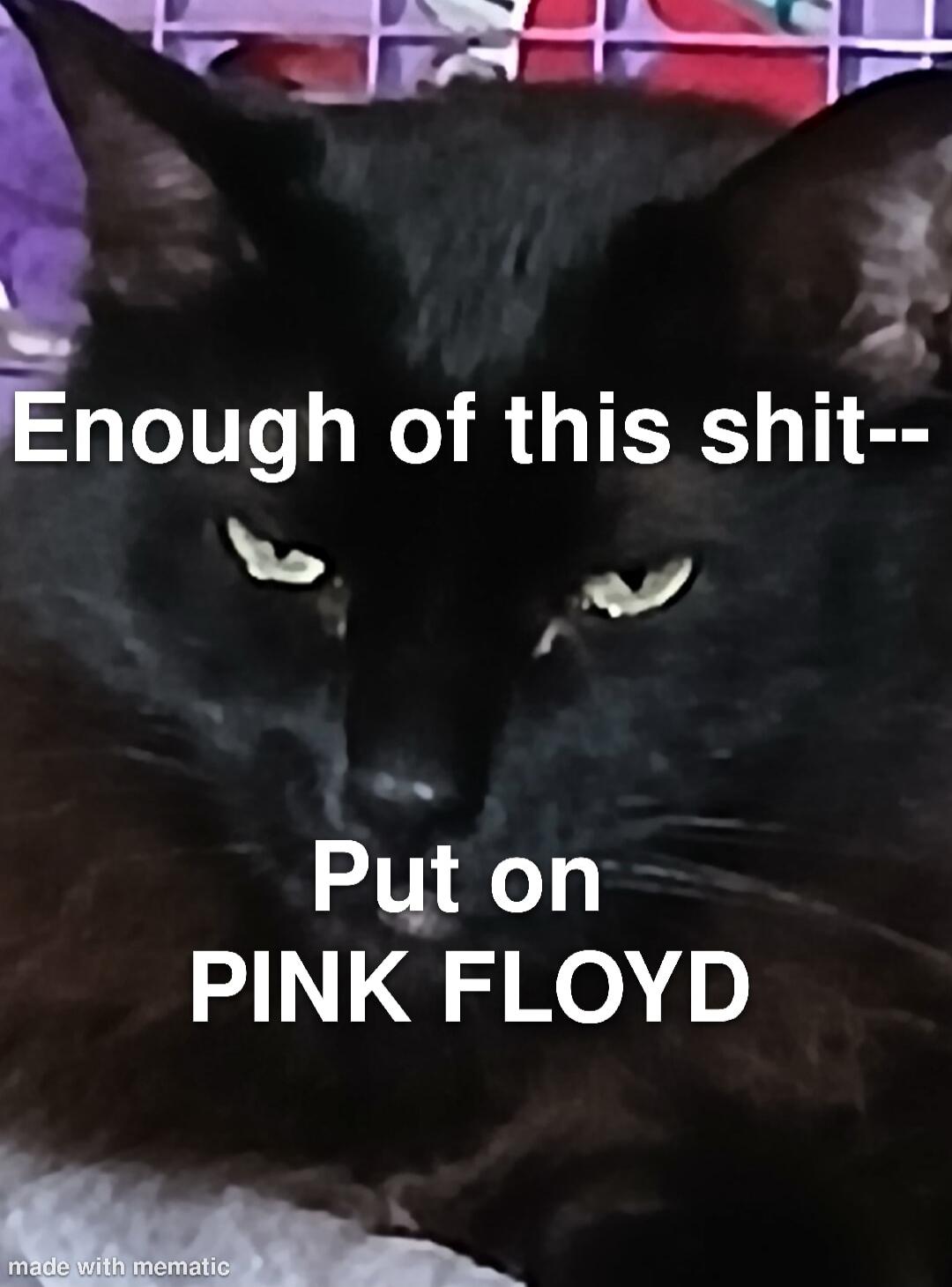 Enough of this shit-- Put on PINK FLOYD
