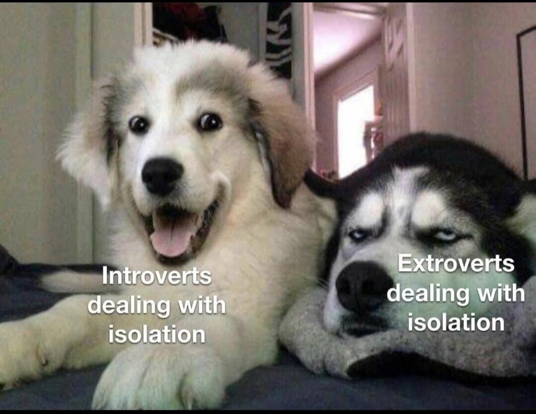 Introverts dealing with isolation. Extroverts dealing with isolation.