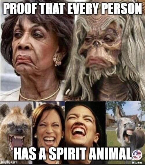 PROOF THAT EVERY PERSON HAS A SPIRIT ANIMAL