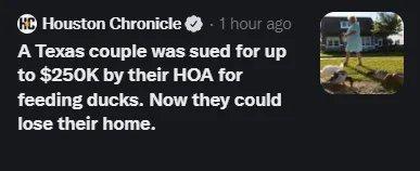 Houston Chronicie 1 Hour 220 A Texas couple was sued for up to 250K by their HOA for feeding ducks Now they could lose their home
