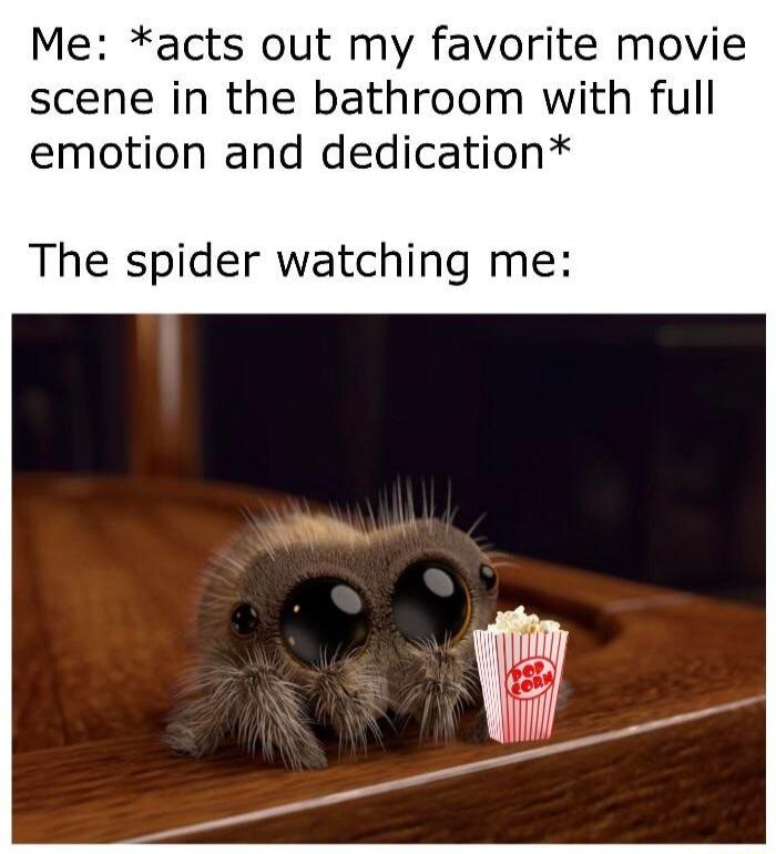 Me acts out my favorite movie scene in the bathroom with full emotion and dedication The spider watching me