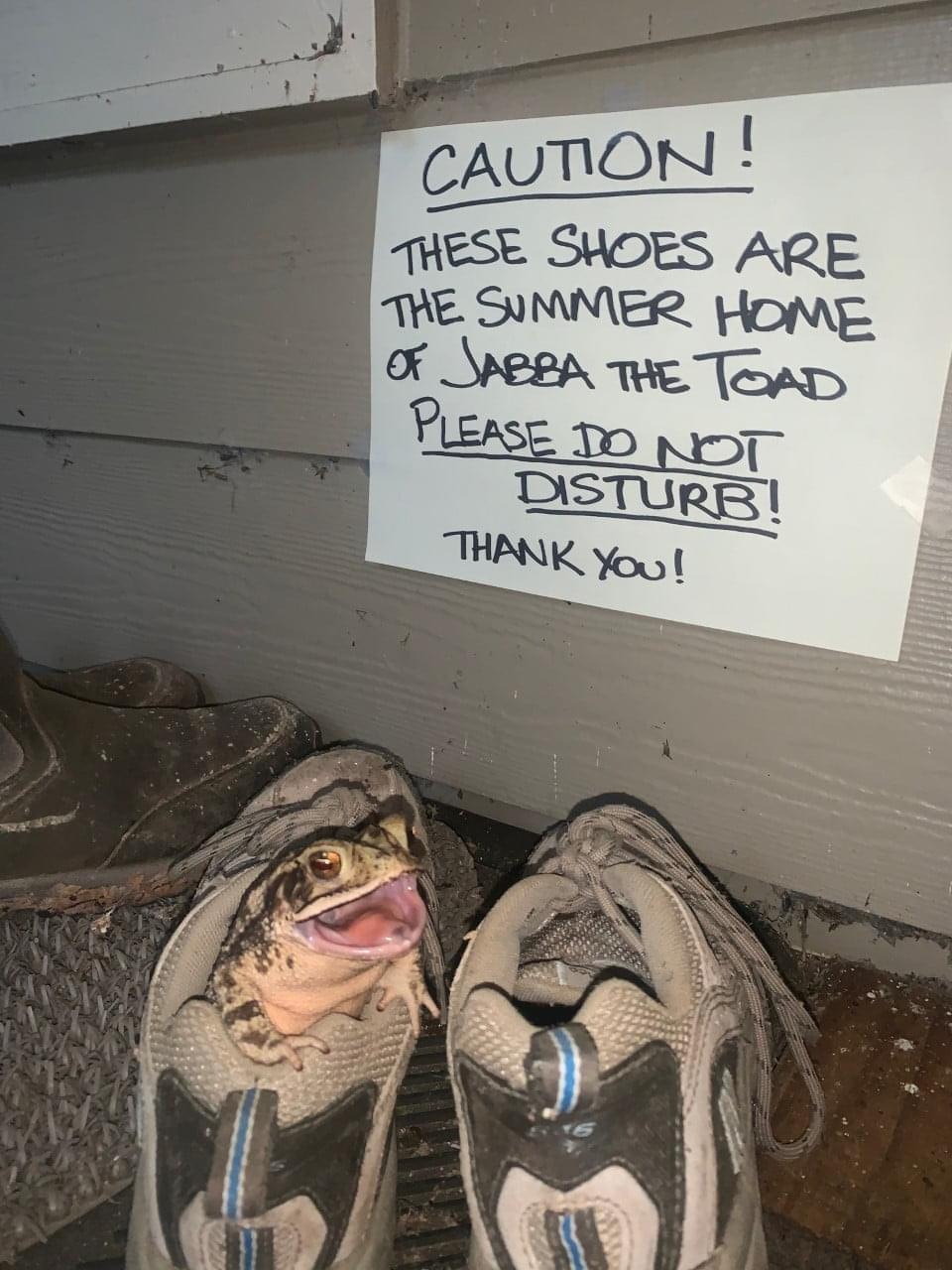 CAUTION THESE SHOES ARE