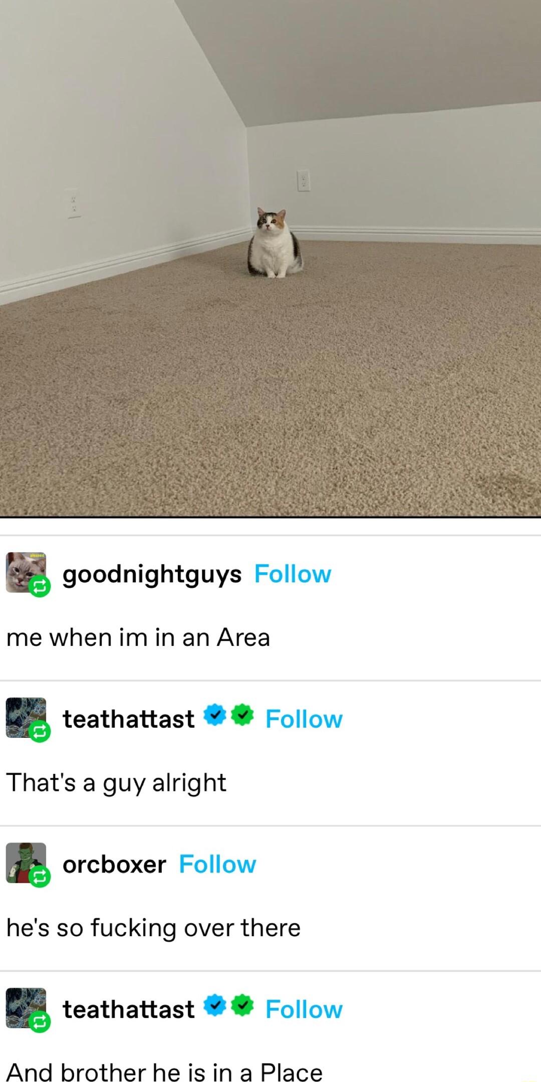 goodnightguys Follow me when imin an Area teathattast Follow Thats a guy alright boxer Follow hes so fucking over there B teathattast Follow