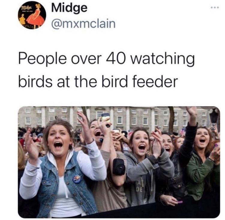 Midge W mxmclain People over 40 watching birds at the bird feeder